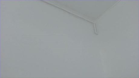angelfrank  12-03-2022